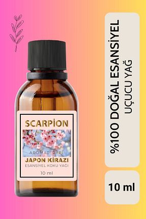 عطر خودرو SCARPİON - کد 871950524