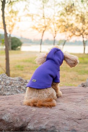  بنفش Buddy Store - کد 651763207