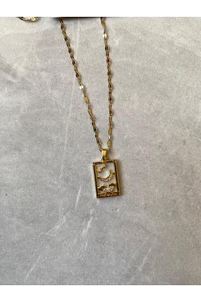 گردنبند استیل ( فولاد ) رنگی زنانه استیل (فولاد) dltakicoo - کد 872285973