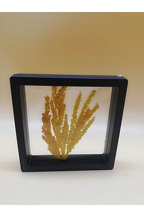 اجسام تزئینی و بیبلو رنگی 11 x 11 Birinci - کد 872733377