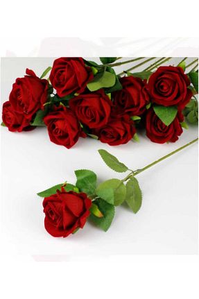 گل خشک و مصنوعی قرمز YASİMA - کد 874099797