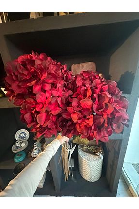 گل خشک و مصنوعی زرشکی Atölye 7 home decoration - کد 874831195