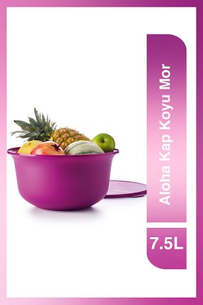 ظرف نگهداری بنفش پلاستیک Tupperware - کد 364552577