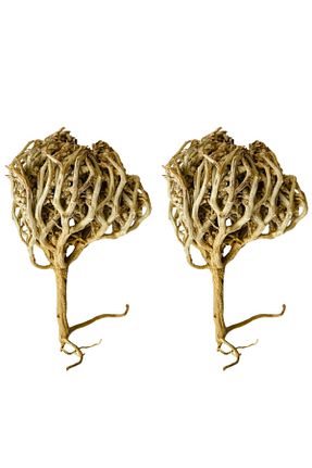 سایر ادویه جات Eaktariye - کد 6901657