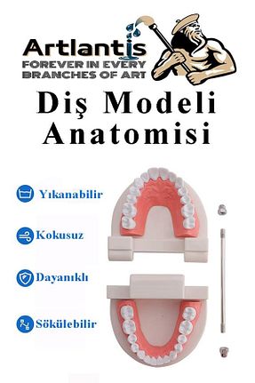 لوازم آزمایشی رنگی Artlantis - کد 793417593