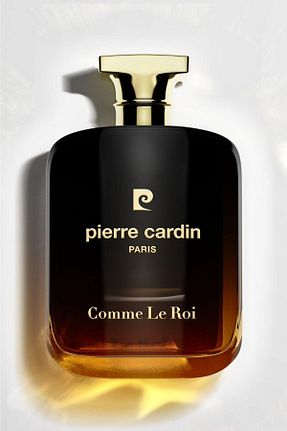 ادکلن مردانه Pierre Cardin - کد 302132379
