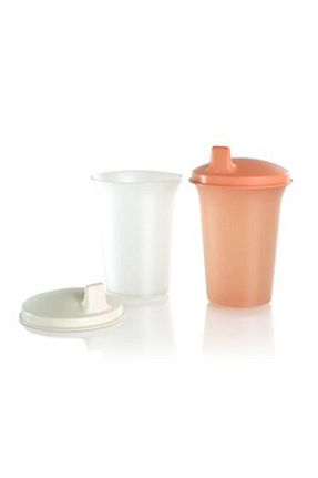 بطری آب و قمقمه نارنجی Tupperware - کد 735370979