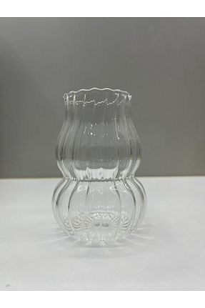 لیوان نارنجی شیشه MİMOZA PARK - کد 869835697