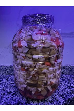 ترشی Doğal - کد 874372904