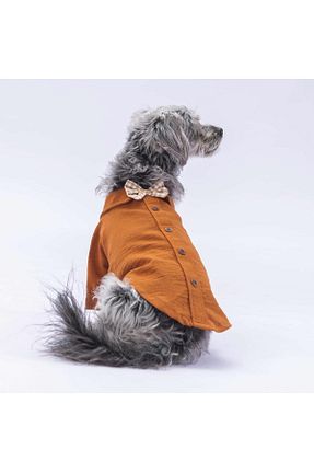 قهوه ای Pawstar - کد 828864607