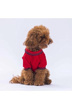  قرمز Pawstar - کد 829195857