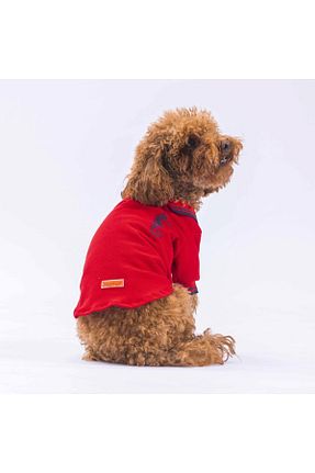  قرمز Pawstar - کد 829195857