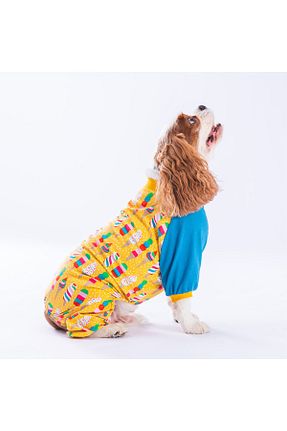  زرد Pawstar - کد 763857773