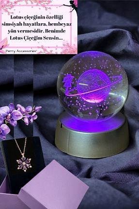 هدیه مفهومی Perry Accesories - کد 876223516