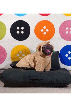  خاکی Holidog - کد 809348627