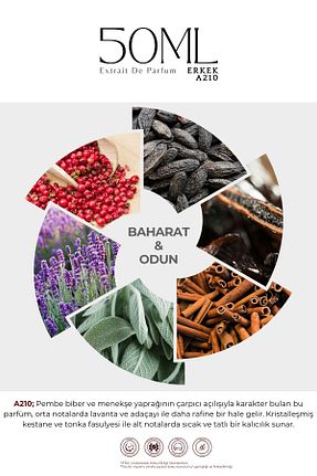 ادکلن مردانه BE PARFÜM - کد 846744801