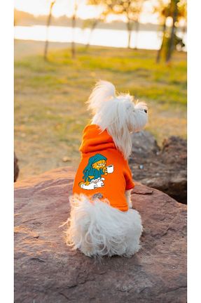  نارنجی Buddy Store - کد 651766825