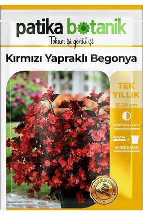 بذرها Çiçek Tohumu Patika Botanik - کد 875940467