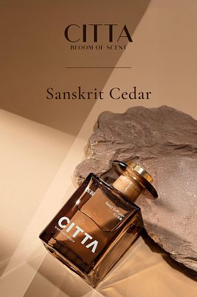 خوشبو کننده هوا Odun CITTA - کد 877226013