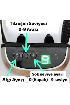  Petainer - کد 796187474