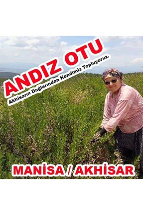 چای کیسه ای Akhisar Lokman Hekim - کد 72087154