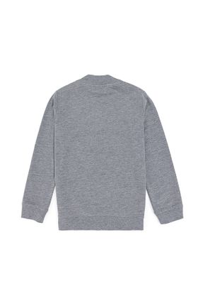 سوئیشرت طوسی بچه گانه ساده U.S. Polo Assn. - کد 879008676