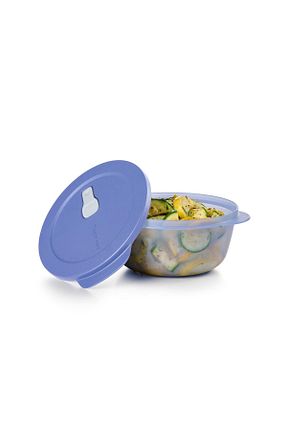 ظرف نگهداری آبی پلاستیک Tupperware - کد 879231806