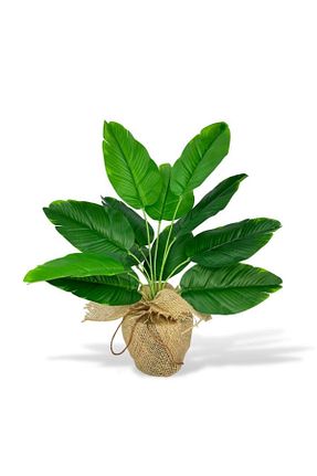 گل خشک و مصنوعی قهوه ای Nettenevime - کد 808069099