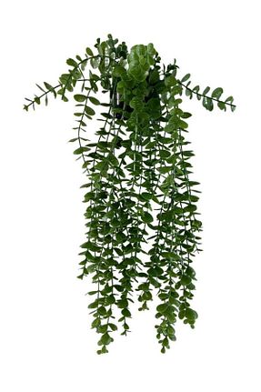 گل خشک و مصنوعی نارنجی Nettenevime - کد 260915228