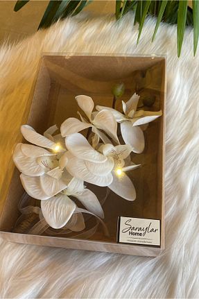 گل خشک و مصنوعی سفید ABROZ HOME DESIGN - کد 878834977