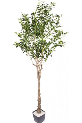 گل خشک و مصنوعی سبز Herdekora - کد 822716907