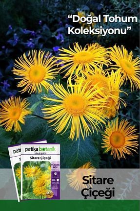 بذرها Çiçek Tohumu Patika Botanik - کد 875939760