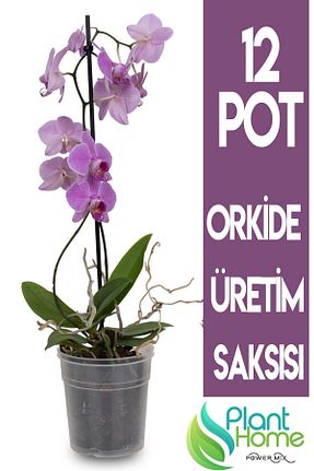 گلدان سفید Plant Home Power Mix - کد 879211503