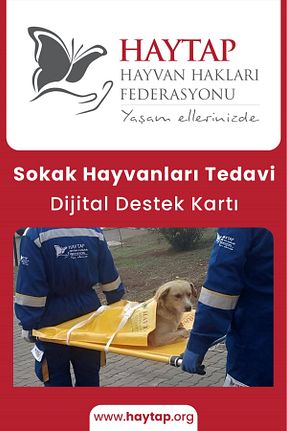کارت پشتیبانی دیجیتال Haytap - کد 881156163