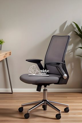 صندلی مطالعه طوسی Yukarı-Aşağı Hareketli SandalyeDeposu - کد 775743183