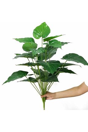 گل خشک و مصنوعی سبز Nettenevime - کد 437107516