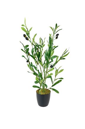 گل خشک و مصنوعی سبز Nettenevime - کد 336855476