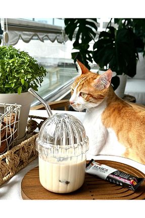 لیوان قهوه ای شیشه ERKUGO - کد 859186612