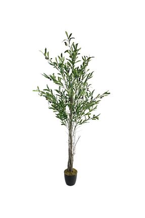 گل خشک و مصنوعی بژ Nettenevime - کد 335126124