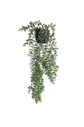 گل خشک و مصنوعی سبز Nettenevime - کد 297988482