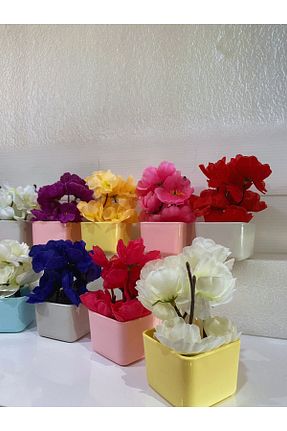 گل خشک و مصنوعی رنگی La bella bazar - کد 826526629