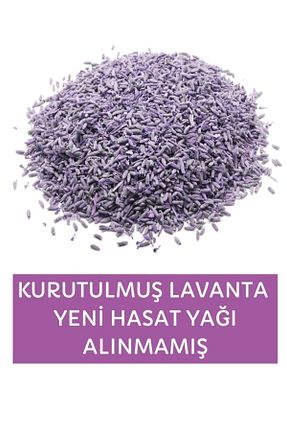  Lavendrose - کد 33365636