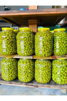 روغن زیتون ERDEMLİ - کد 880632156