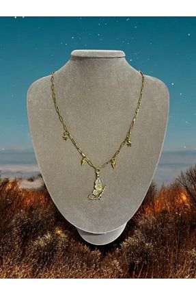 گردنبند استیل ( فولاد ) زرد زنانه استیل (فولاد) AURA GARDEN - کد 880673184