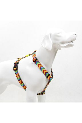 Günlük Ayakkabı رنگی Tailpetz - کد 647695514