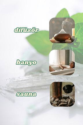 بذر و گیاه sabunal - کد 881930976