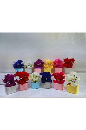 گل خشک و مصنوعی رنگی La bella bazar - کد 826526629