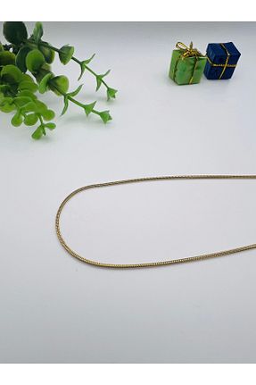 گردنبند استیل ( فولاد ) زنانه استیل (فولاد) Badiva - کد 876280214