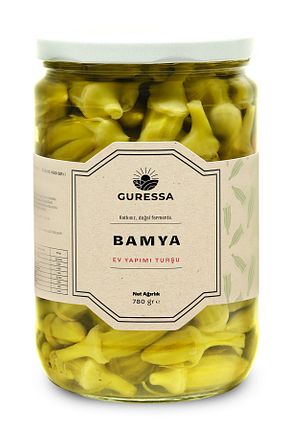 ترشی GURESSA - کد 872445083