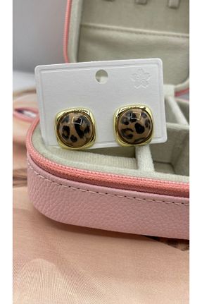 گوشواره استیل (فولاد) قهوه ای زنانه استیل (فولاد) bej jewelry - کد 884264714